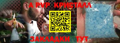 СК Апшеронск